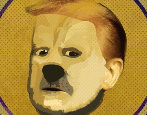 In Cryptoland, Memecoin Fever Gives Way to a Stablecoin Boom