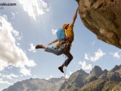 Crypto Holds Firm Ahead of Key Central Bank Decisions