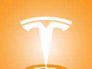 No, Tesla did not buy more bitcoin last quarter