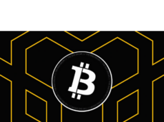 AI Agent BadCoin fumbles BSC launch, anti-sniping software flags traders