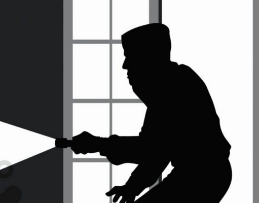 OnlyFans creator Amouranth claims she shot armed crypto robber