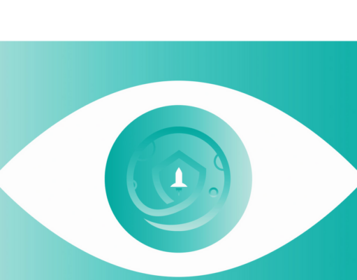 SafeMoon’s image was carefully curated — and misleading, witness says