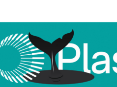 Whales dominate Plasma launch