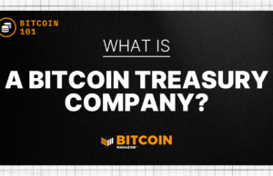 What Is A Bitcoin Treasury Company?