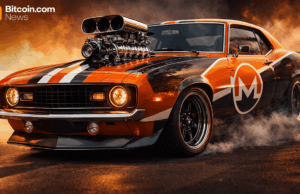 Monero Pulls Ahead as Zcash Cools and Privacy Coins Feel the Pressure