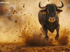 Vanguard’s Massive Crypto Reversal Triggers ‘Highly Bullish’ Mainstream Momentum