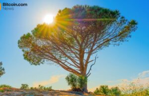 Wisdomtree Launches Tokenized Equity Options Strategy Fund for Crypto-Native Investors