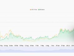 Danger Zone: Shiba Inu Must Hold This Key Level or Risk a Double-Digit Crash