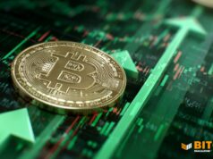 Bitcoin Price Fell In 2025, But Lows Show A Strong Floor