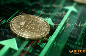 Bitcoin Price Fell In 2025, But Lows Show A Strong Floor