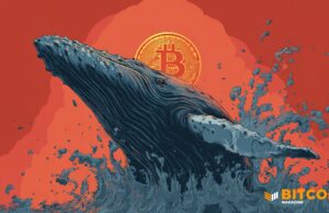Bitcoin Whales Keep Buying, 100+ BTC Holders Hit New Highs