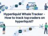 Hyperliquid Whale Tracker – How to track top traders on hyperliquid? (January 2026)