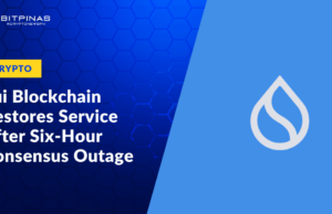 Sui Blockchain Restores Service After Six-Hour Consensus Outage