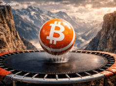$91K Bitcoin Faces Judgment Day: Bounce or Breakdown?