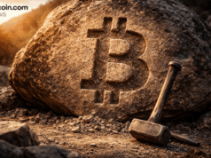 Over 100 Million Ordinals — While Inscription Hype Fades, Bitcoin Quietly Becomes a Top NFT Chain