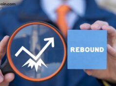 Crypto ETFs Turn Green as Bitcoin Rebounds With $117 Million Inflow