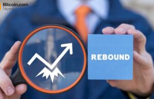 Crypto ETFs Turn Green as Bitcoin Rebounds With $117 Million Inflow