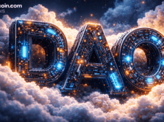 Are DAOs Pipe Dreams? NONPC Founder Says Discipline, Not Privilege, Decides Survival