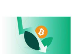 Bitcoin treasury firm NAKA’s shares and mNAV crashed 90%