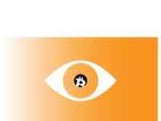 Bitcoin Core v30 could cause ‘catastrophic’ node shutdown, critics warn