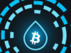 Adam Back says Liquid BTC is collateralized after dashboard problem