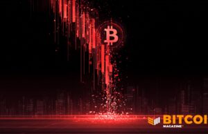 Bitcoin Price Plunges To $74,000 And One Year Lows