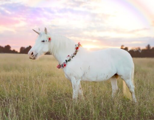 Meet the new European unicorns of 2026