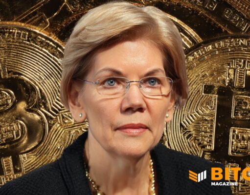 Warren To U.S. Government: “No Bailouts For Crypto”