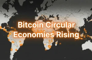 Strategies For Sustainable Bitcoin Circular Economies Emerge