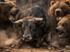 Bitcoin Bulls Trapped: $238 Million in Longs Vaporized as BTC Hits $64,161
