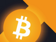 Bitcoin price at all-time high while other metrics at lows