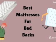 3 Best Mattresses For Bad Backs (February 2026) – CoinCodeCap