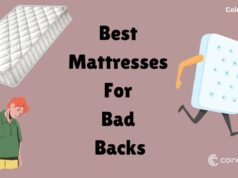 3 Best Mattresses For Bad Backs (February 2026) – CoinCodeCap