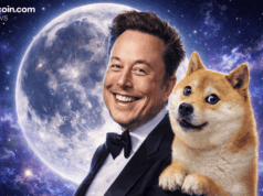 Elon Musk Revives Dogecoin Moon Talk, but DOGE Keeps Falling