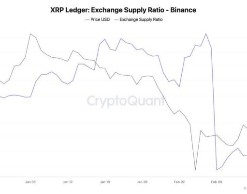 XRP Exchange Reserves Plunge: Whale Accumulation Underway?