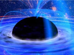 Bootstrapping A Decentralized Autonomous Corporation: Part I