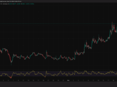 Akash (AKT) Crypto Volatility: Is the Akash Upgrade a ‘Buy the Rumor, Sell the News’ Event?