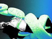 Can AI Kill the Venture Capitalist?