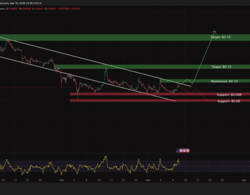 Dogecoin Price Analysis: X Money Nears Launch Without DOGE