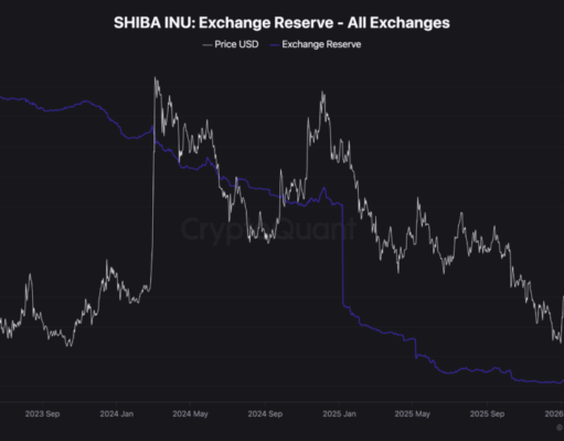 Shiba Inu Price Prediction: ‘Whale Watch’ What 131 Billion Token Withdrawals Mean for Your Bags