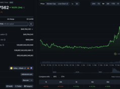 What is WKC Crypto? WIKICAT Price Correction on BSC After +40% Pump