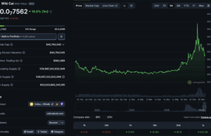 What is WKC Crypto? WIKICAT Price Correction on BSC After +40% Pump