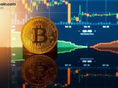 Diamond Hands Win: 85% of Bitcoin Holders Stood Firm Through the February Dip