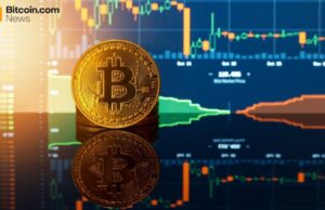 Diamond Hands Win: 85% of Bitcoin Holders Stood Firm Through the February Dip