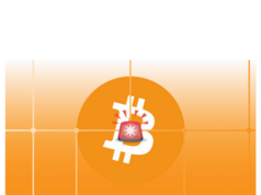 Knots leader says Bitcoin Core v30 could host illegal adult content