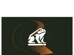 Bitcoin treasury Nakamoto down 98% — still pays David Bailey lavishly