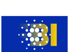 Cardano crisis: senior dev quits after Hoskinson calls in the feds