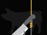 Pig butchering is creating entirely new industries