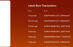 Shiba Inu Price Analysis: Burn Rate Skyrockets 53,000% – What Does This Mean?