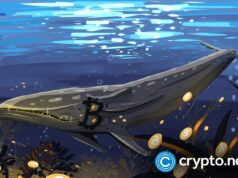 Bitcoin whales add 61,568 BTC as price slips again